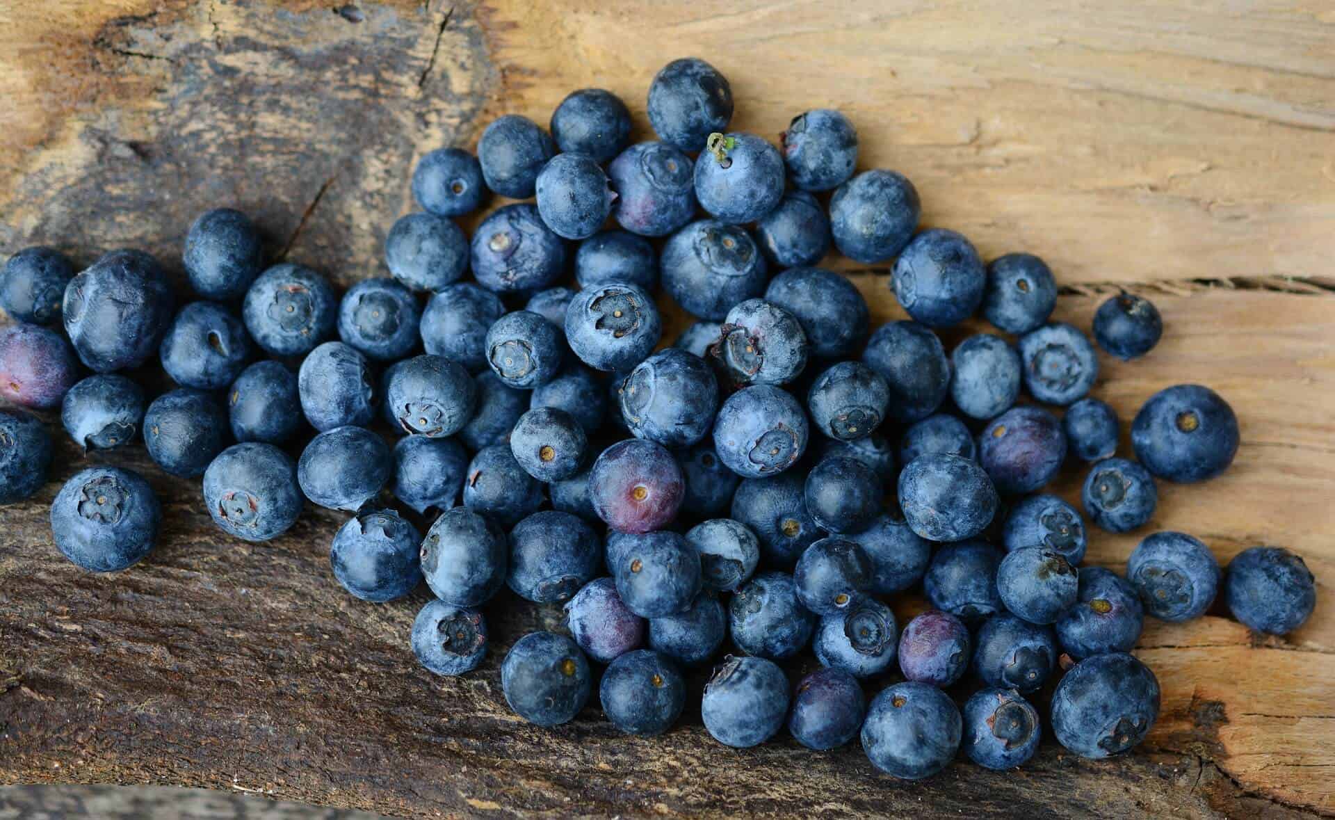 Čo sú to Antioxidanty? - blueberries 2270379 1920 - Čo sú to Antioxidanty?