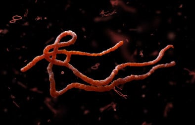 shutterstock_574519687