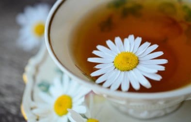 chamomile-829487_1920