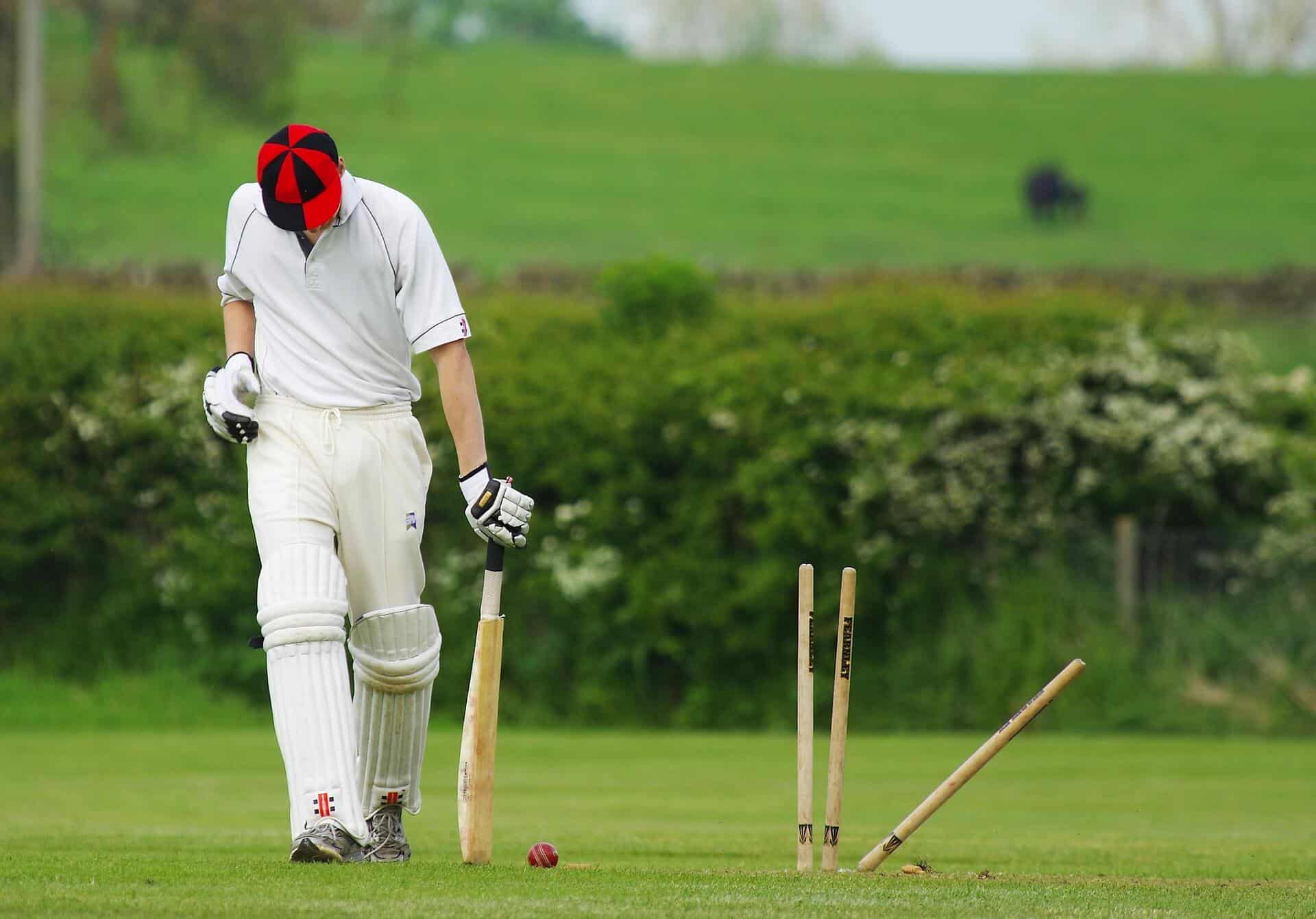 Netradičné športy - Kriket - cricket 724616 1920 - Netradičné športy &#8211; Kriket