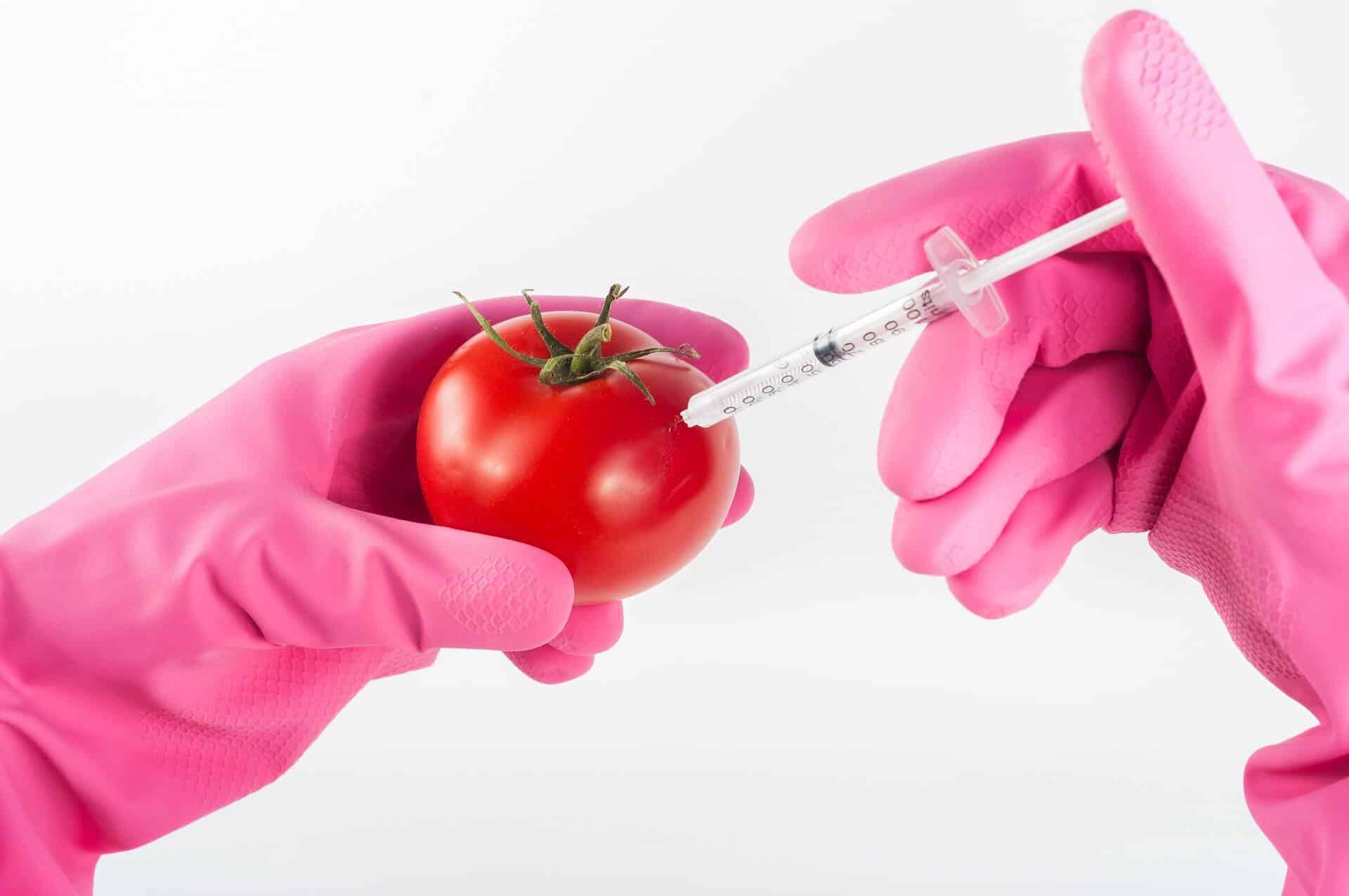 Sú geneticky modifikované organizmy škodlivé? - modified 1744952 1920 - Sú geneticky modifikované organizmy škodlivé?