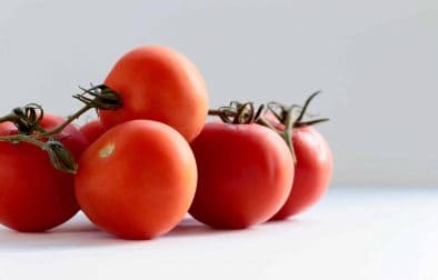 Z biologického hľadiska je paradajka ovocím.