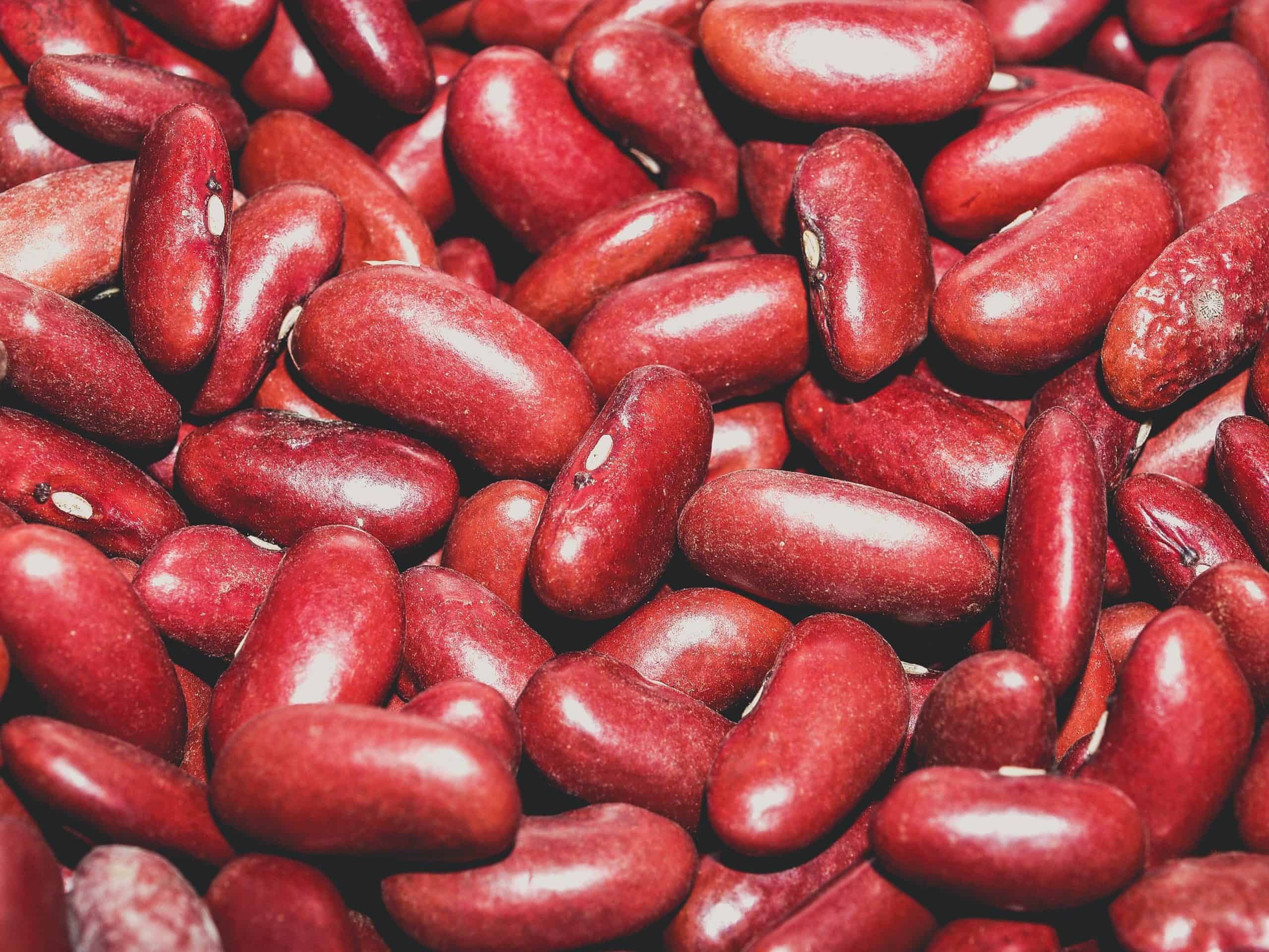 fazula - red seed lot 1313643 scaled - Farebná fazuľa