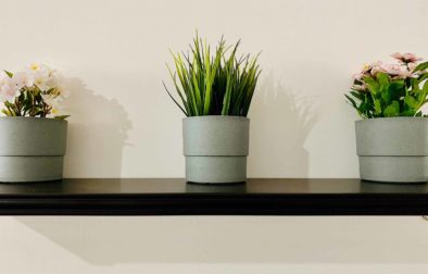 4 tipy prečo pestovať izbové rastliny