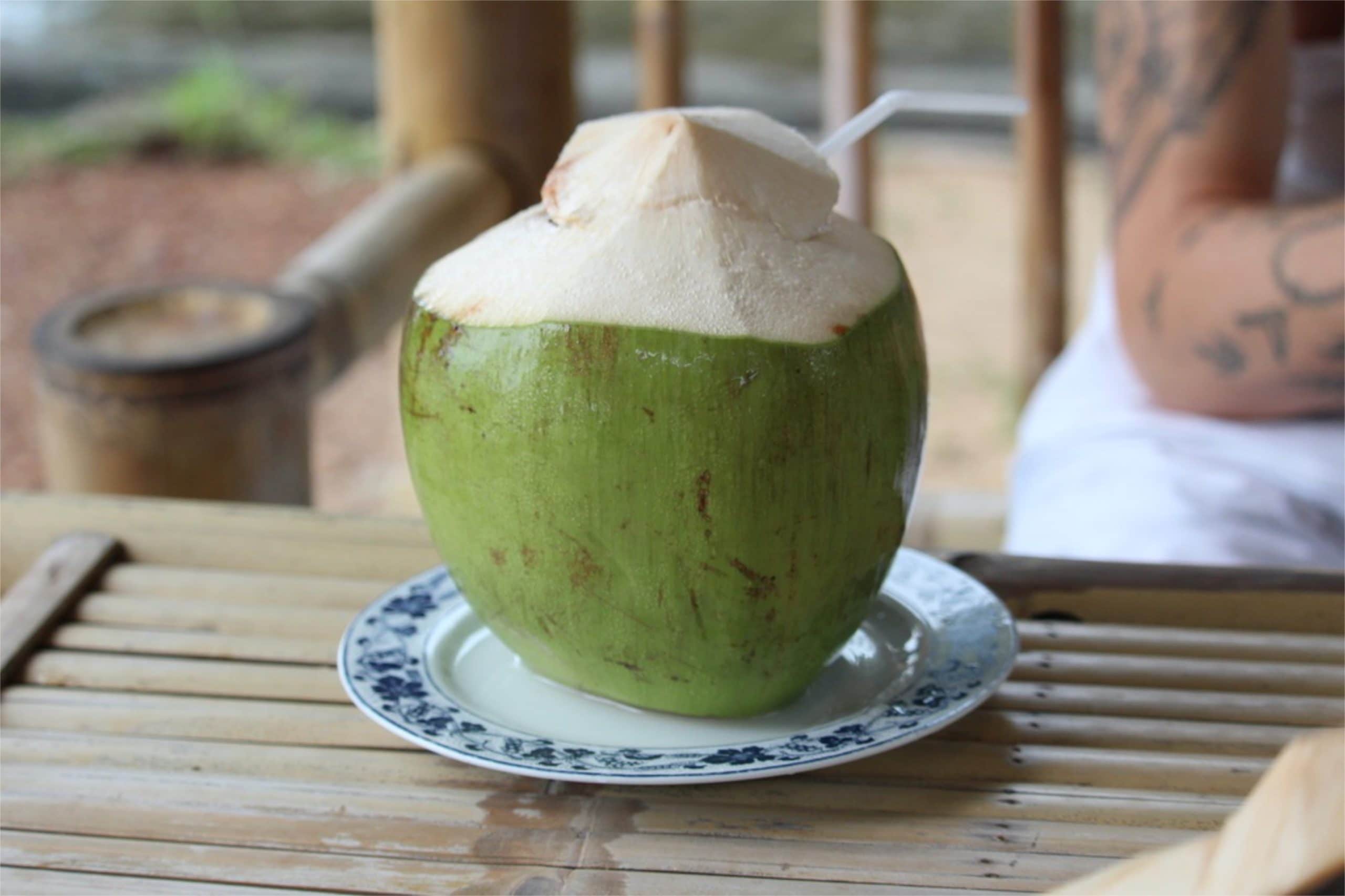 kokos - sandro strenta 7z c1zf7zjA unsplash scaled - Kokos – potravina nabitá živinami s nekonečným využitím